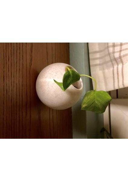 Top Duvar Ekici (Plastik Aparattır!!!) 3D modelleri