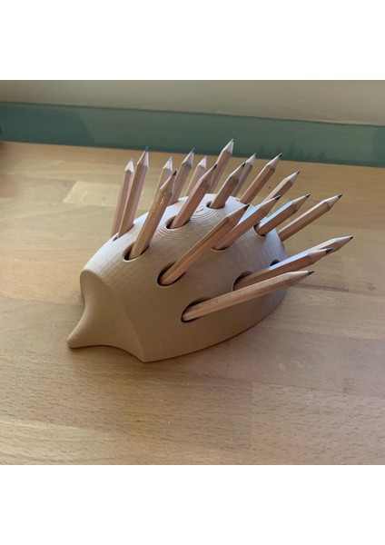 Kalem Sahibi, Kirpi Tarzı (Plastik Aparattır!!!) 3D