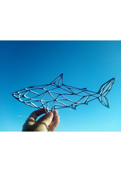 Köpekbalığı Iı Duvar Heykeli 2d (Plastik Aparattır!!!) 3D fırsatları