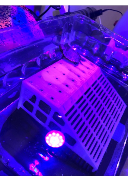 Kaplumbağa Adası (Plastik Aparattır!!!) 3D fırsatları