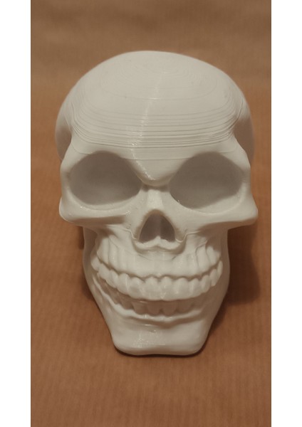 Desteksiz Yazdırma Için Yeniden Yönlendirilmiş Kafatası (Plastik Aparattır!!!) 3D
