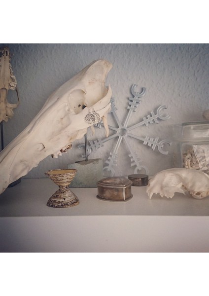 Ægishjálmur (Huşu Miğferi) (Plastik Aparattır!!!) 3D modelleri