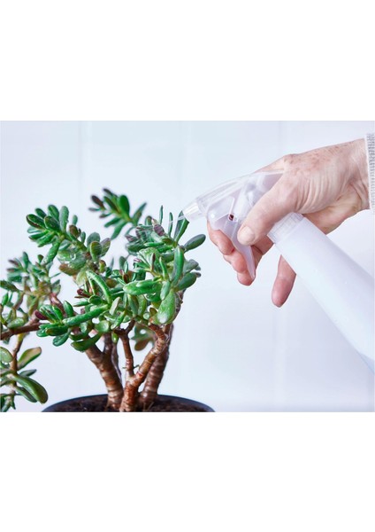 Çok Amaçlı Spreyli Şişe Şeffaf 350 ml modelleri