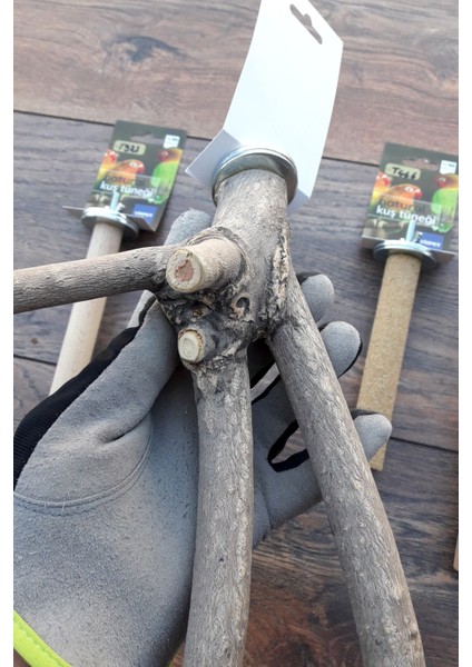 Venty 4'lü Doğal ve Kumlu Papağan Tüneği | Sultan, Monk, Muhabbet, Forpus, Lori, Konur, Cennet, Sevda, Kakariki - M611 fırsatları