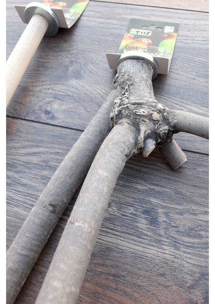 Venty 4'lü Doğal ve Kumlu Papağan Tüneği | Sultan, Monk, Muhabbet, Forpus, Lori, Konur, Cennet, Sevda, Kakariki - M611