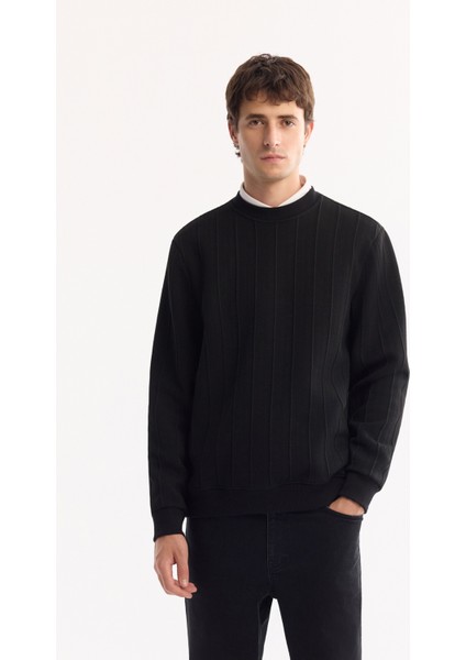 Erkek Siyah Bisiklet Yaka Çizgili Elastan Regular Fit Sweatshirt A52Y1218