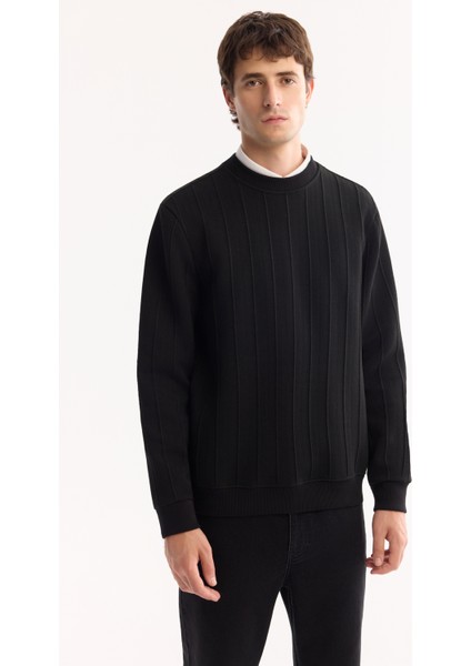 Erkek Siyah Bisiklet Yaka Çizgili Elastan Regular Fit Sweatshirt A52Y1218 fiyatları