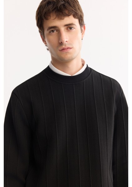 Erkek Siyah Bisiklet Yaka Çizgili Elastan Regular Fit Sweatshirt A52Y1218 modelleri