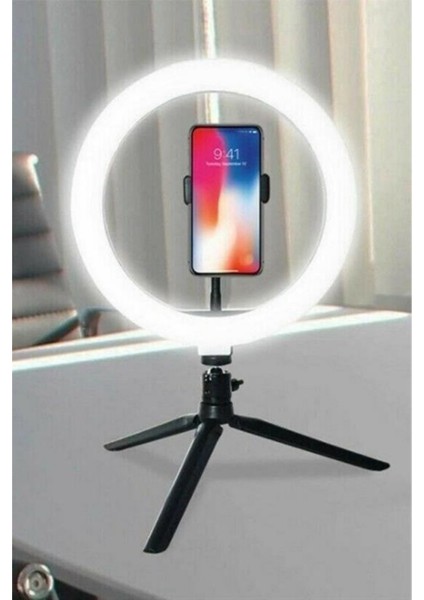Büro Ev Ofis Video Çekimleri Için 20CM Halka Işık Aparatı fiyatları