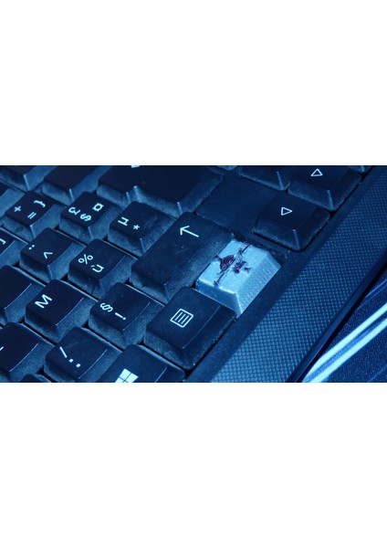Ctrl Tuşu - Beyazsakal Bayrağı (Plastik Aparattır!!!) 3D modelleri