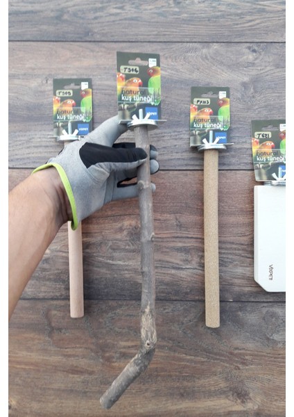 Venty 4'lü Doğal ve Kumlu Papağan Tünek Seti | Sultan, Monk, Muhabbet, Forpus, Lori, Konur, Cennet, Sevda, Kakariki - M608 indirimleri