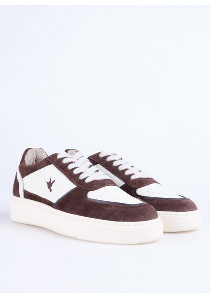 Kahve Kadın Sneaker Noddy-Lınton fiyatları