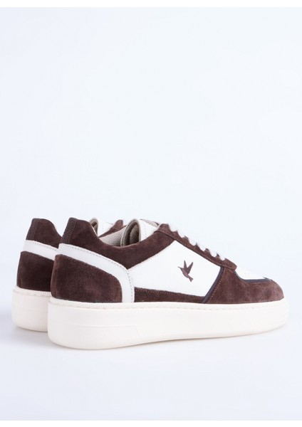 Kahve Kadın Sneaker Noddy-Lınton modelleri