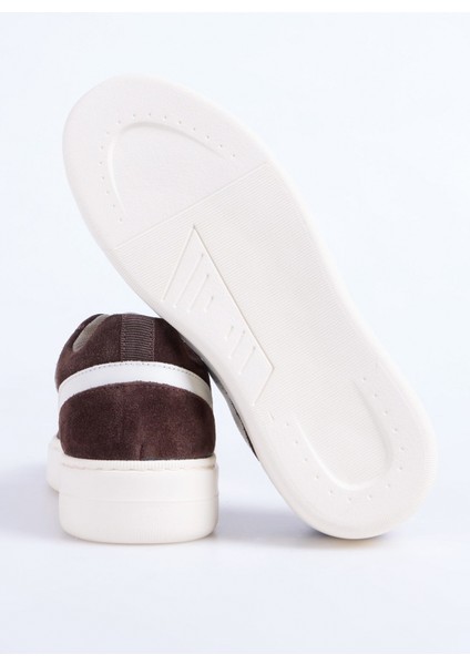 Kahve Kadın Sneaker Noddy-Lınton fırsatları