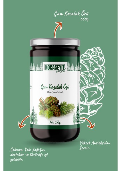 Kocaseyit Çam Kozalak Özü 650 g – Türkiye Üretimi, Doğal Vitamin-Mineral Kaynağı ve Eşsiz Aromasıyla Sağlıklı Tat