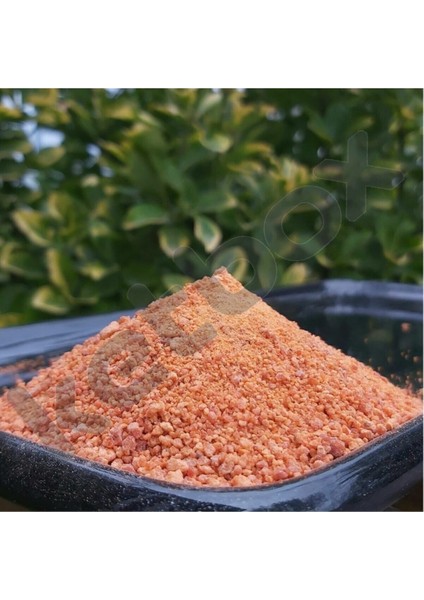 Organik Bebek Tarhanası 300 gr – +6 Ay, Tahıllı, Yüksek Protein ve B Vitamini Kaynağı, Yerli Üretim