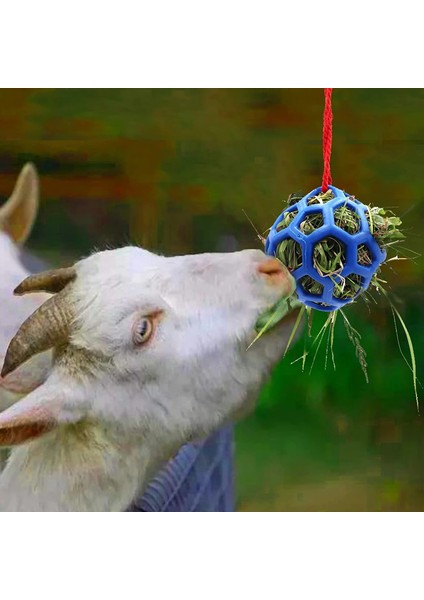 At Molası Asmalı Saman Yemliği, 2 Parça (Yurt Dışından) indirimleri