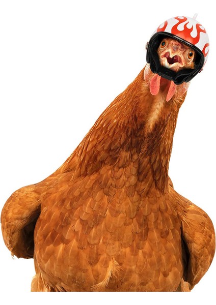 Koruyucu Tavuk Kafası Tasarım Şapka 2 Parçalı Set (Yurt Dışından) modelleri