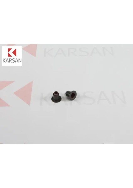 Supap Lastiği J10 Karsan 500395378 Peugeot, Cıtroen, Fıat K081602