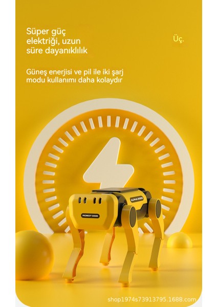 Çocuk Güneş Otomatik Robot (Yurt Dışından) fırsatları