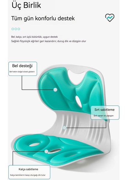 Koltuk Sırtı Tek Parça Bel Yastığı (Yurt Dışından) modelleri