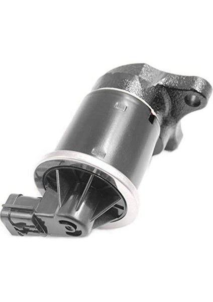 Egr Vana Otomotiv 5 Pikap Kamyon Için (Yurt Dışından) fiyatları