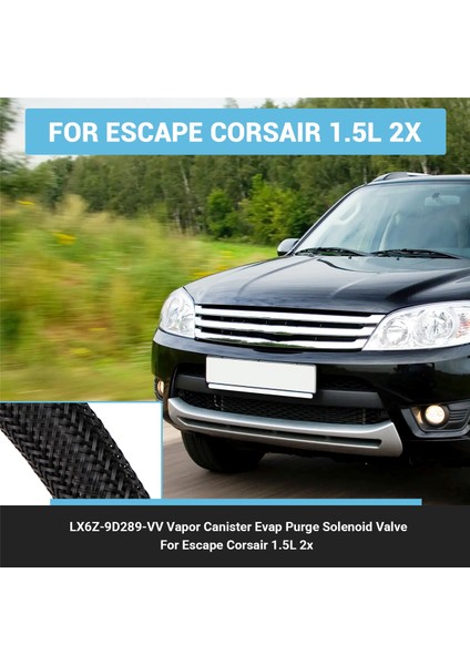 LX6Z-9D289-VV Buhar Haznesi Buharlaştırma Temizleme Solenoid Vana Yakıt Için (Yurt Dışından) fırsatları