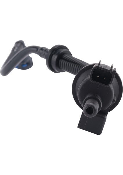 2.3l 15-20 Hortum Yakıt Buharı Temizleme Solenoidi Için (Yurt Dışından) modelleri