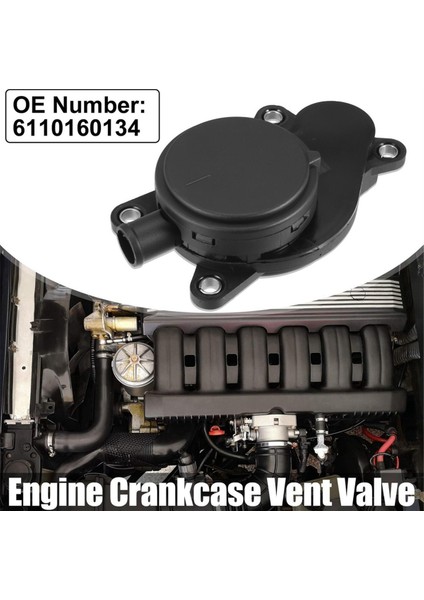 Pcv Havalandırma Havalandırma Vanası Motor Yağı Ayırıcısı (Yurt Dışından)