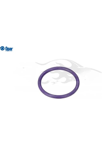 Toroidal Conta O-Ring - C4 x (C43) Opar 9813217180 9813217180