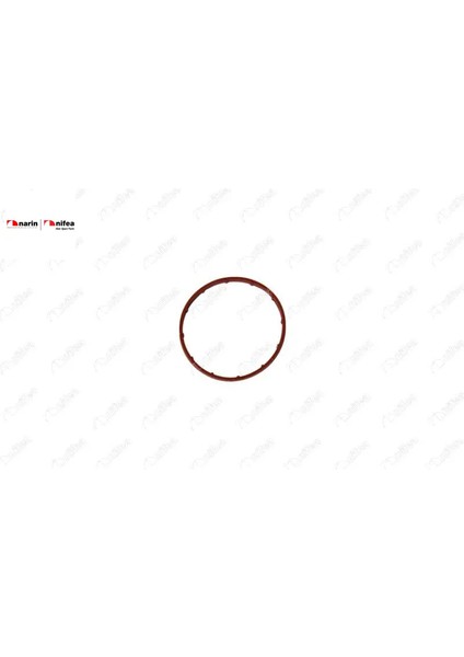 Vakum Pompa Contasi (Büyük) 107-206-FIESTA- 307 DV4TD Nifea 4556.16 Fıat, Cıtroen, Peugeot 14781