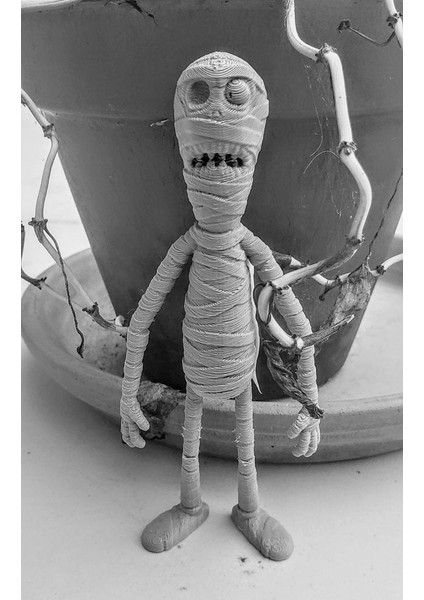 Mumya (Sadece Plastik Aparattır!!!) 3D fiyatları