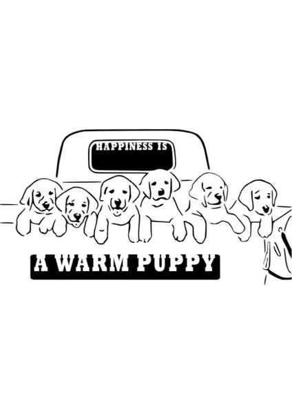 Yavru Şablon (Sadece Plastik Aparattır!!!) 3D