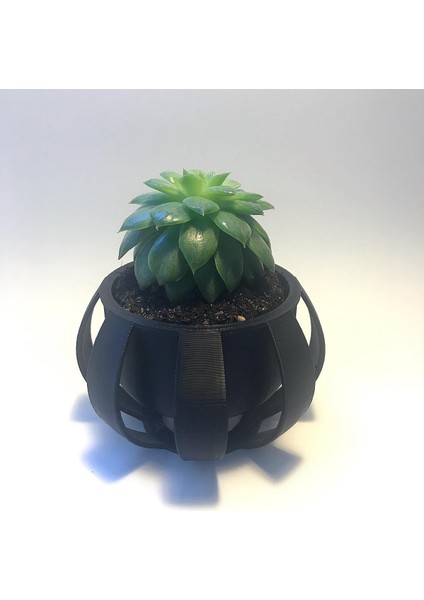 Modern Ekici (Sadece Plastik Aparattır!!!) 3D