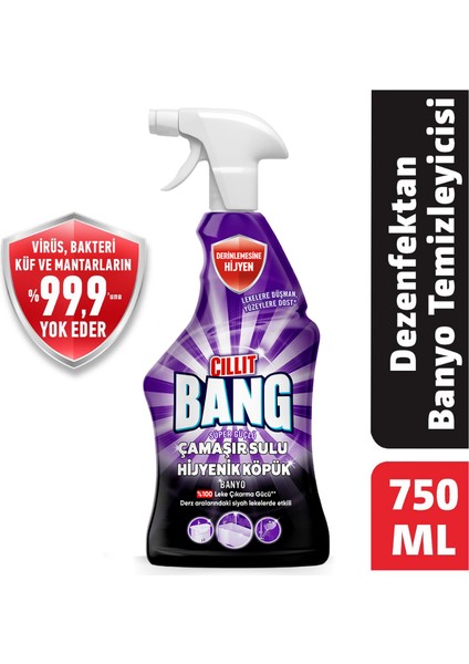 Dezenfektan Sprey Set Banyo ve Mutfak Temizleyici 4 x 750 ml modelleri