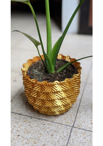 3D Kutu Ekici (Sadece Plastik Aparattır!!!) 3D