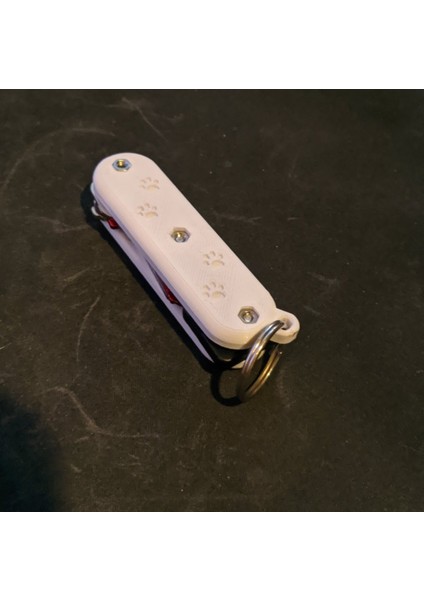 Pawprint - Anahtar Sahibi (Sadece Plastik Aparattır!!!) 3D fiyatları