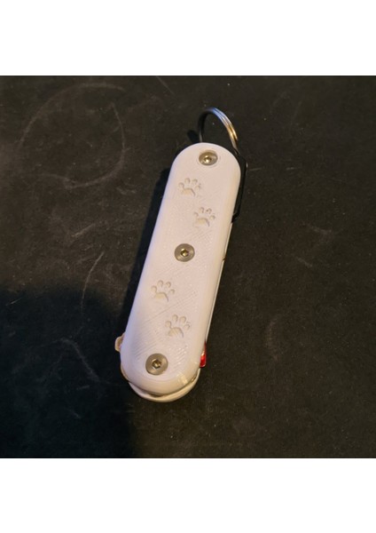 Pawprint - Anahtar Sahibi (Sadece Plastik Aparattır!!!) 3D modelleri