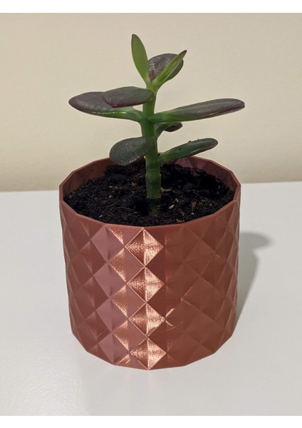 Etli Bitki Potu / Ekici "clara" (Sadece Plastik Aparattır!!!) 3D fiyatları