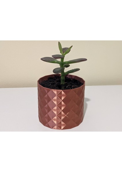 Etli Bitki Potu / Ekici "clara" (Sadece Plastik Aparattır!!!) 3D modelleri