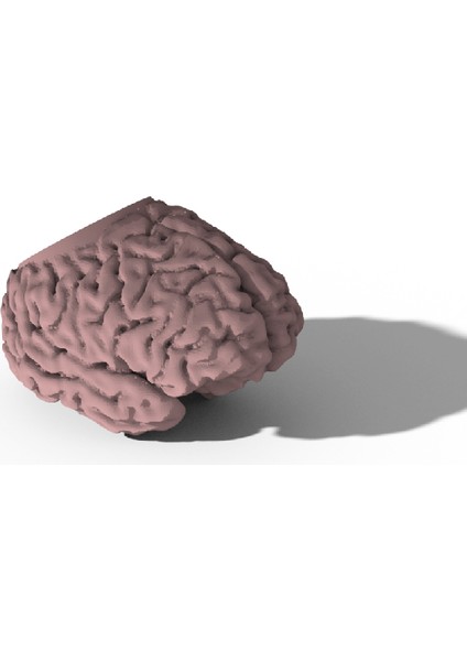 Beyin Masası Ekici (Sadece Plastik Aparattır!!!) 3D fiyatları