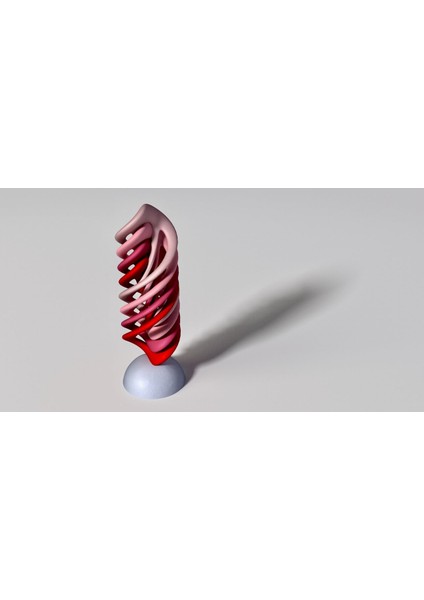Eğrilik Spiral Ödülü (Sadece Plastik Aparattır!!!) 3D