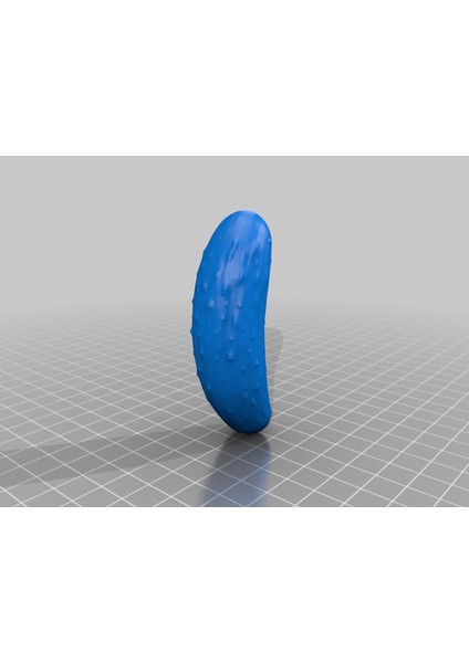 Turşu (Sadece Plastik Aparattır!!!) 3D