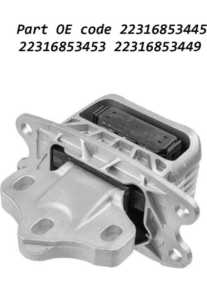 Araba Şanzıman Montajı 22316853453 (Yurt Dışından)