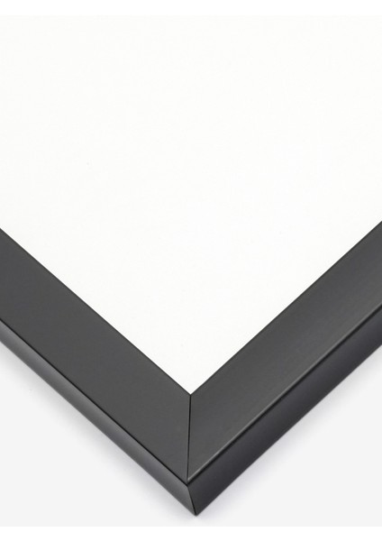 Bauhaus Serisi 085, Minimal Poster, Siyah Çerçeveli Poster modelleri
