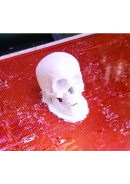Yazdırılabilir Insan Kafatası Kalem Topper (Sadece Plastik Aparattır!!!) 3D modelleri