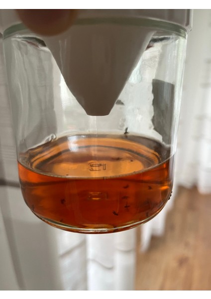 Meyve Sinek Tuzağı Bal Kavanoz Kapağı (Sadece Plastik Aparattır!!!) 3D modelleri