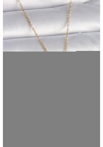 316L Çelik Gold Renk Zincir Oğlak Burcu Zirkon Taşlı Kadın Kolye