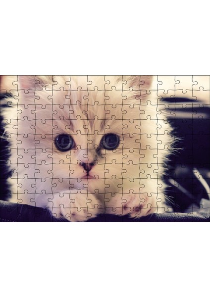 Beyaz Kedi 120 Parça Puzzle Yapboz Mdf (Ahşap)