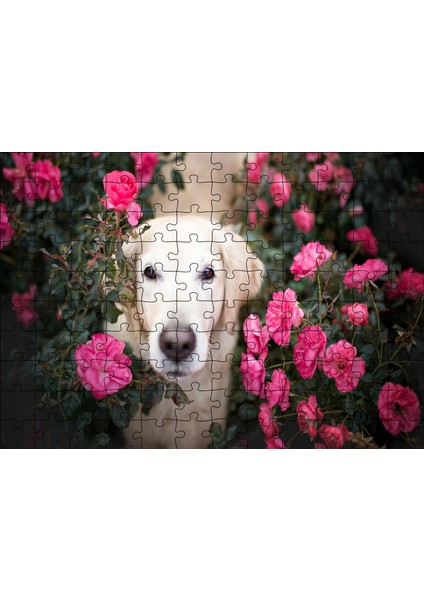 Beyaz Golden Retriever Çiçekler Arasında 120 Parça Puzzle Yapboz Mdf (Ahşap)